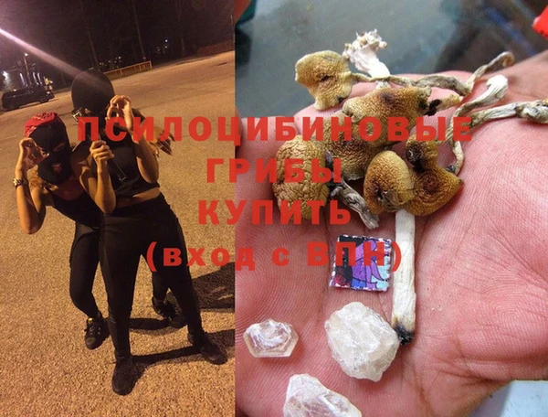 MDMA Михайловск