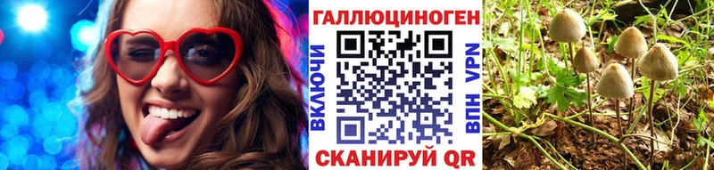 где продают наркотики  Абдулино  Псилоцибиновые грибы MAGIC MUSHROOMS 
